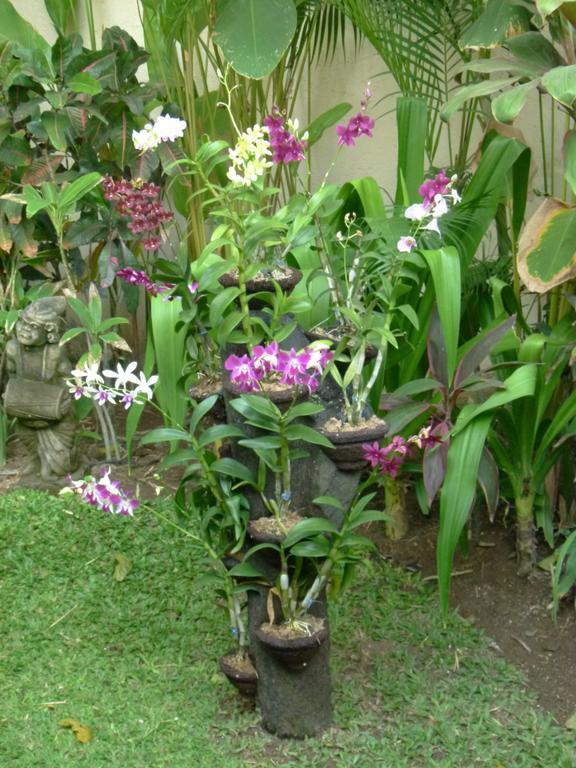 Villa Sipo Seminyak Værelse billede